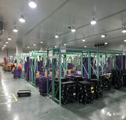 智能系統賦能，我區企業高效服務全省200余家統一銀座倉儲配送